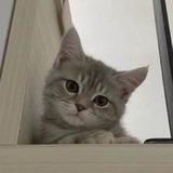 БратишкаНаказывает