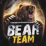 Bear Team 🐻