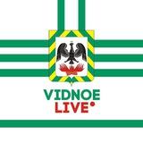 Видное Город