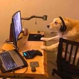 Душный 🐶