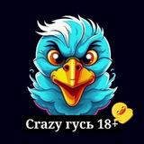 Crazy Гусь 18±
