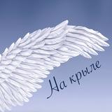 На крыле