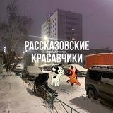 рассказовские красавчики