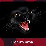 Полит Zагон