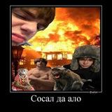 пчелаут
