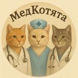 МедКотята 🩺 СГМУ