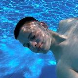 dima.lipz