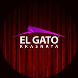 EL GATO D.C. KRASNAYA | НОВОСТИ