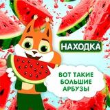 Находка — магазин стабильно низких цен