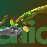 CHIA (канал) - аналитика ТОП кошельков XCH