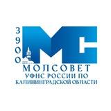Молодежный совет УФНС России по Калининградской области