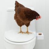 Скачать