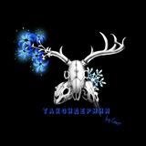 Остеология, таксидермия💙🖤💀☠️🖤💙