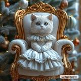 Котики? Котики. Котики!
