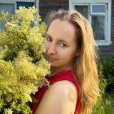 ferma_corleone | ферма | математика