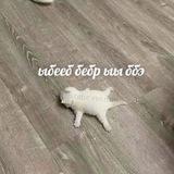 i won't wake up