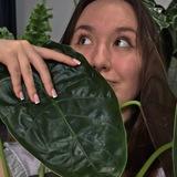 Цветочковая