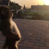 Журнал Parser