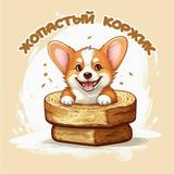 ЖОПАСТЫЙ КОРЖИК