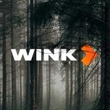 Wink