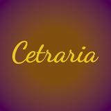 Cetraria - лес, который можно забрать домой