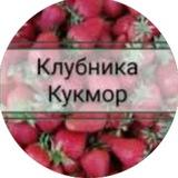 Клубника Кукмор