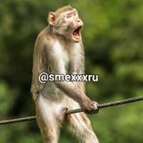 smexxxru
