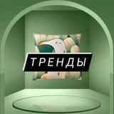 🟢 ЗОЯ ТИ | ПРО ТРЕНДЫ