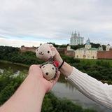 Ёжик-путешественник, его друг Тюленчик и ваш покорный слуга