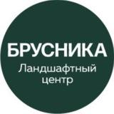 Брусника I Ландшафтный центр