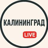 Калининград Live