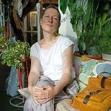 Комнатные растения для жадных и ленивых