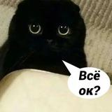 ДНК Юмора