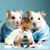 ⌬ ХОМОсапиенс 🐹