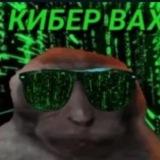 KiziaDAO