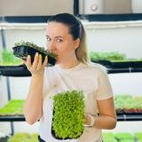 MicroRadost - как вырастить деньги 🌱
