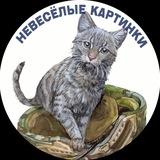 Невесёлые картинки