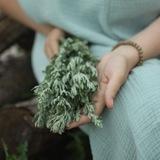 🌿АСТЕЯ🌿