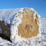 яко туча на́ троскот и иней на́ сено