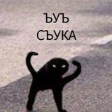 Выкрики из зала