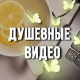 Душевные видео 🦋 Видео для сторис | Reels | Фоны