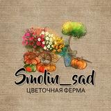 Smolin_sad