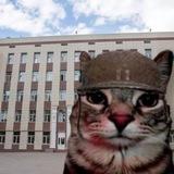 в 10 лицее любят