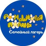 Ромашковая поляна