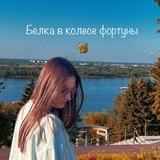 Белка в колесе фортуны