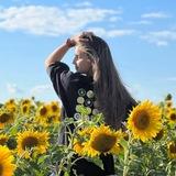 По стопам Дианазавра