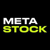 MetaStock: IT & Нейросети