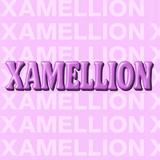 Дом танца XAMELLION