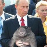 не фоны