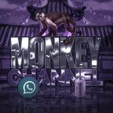 Monkey